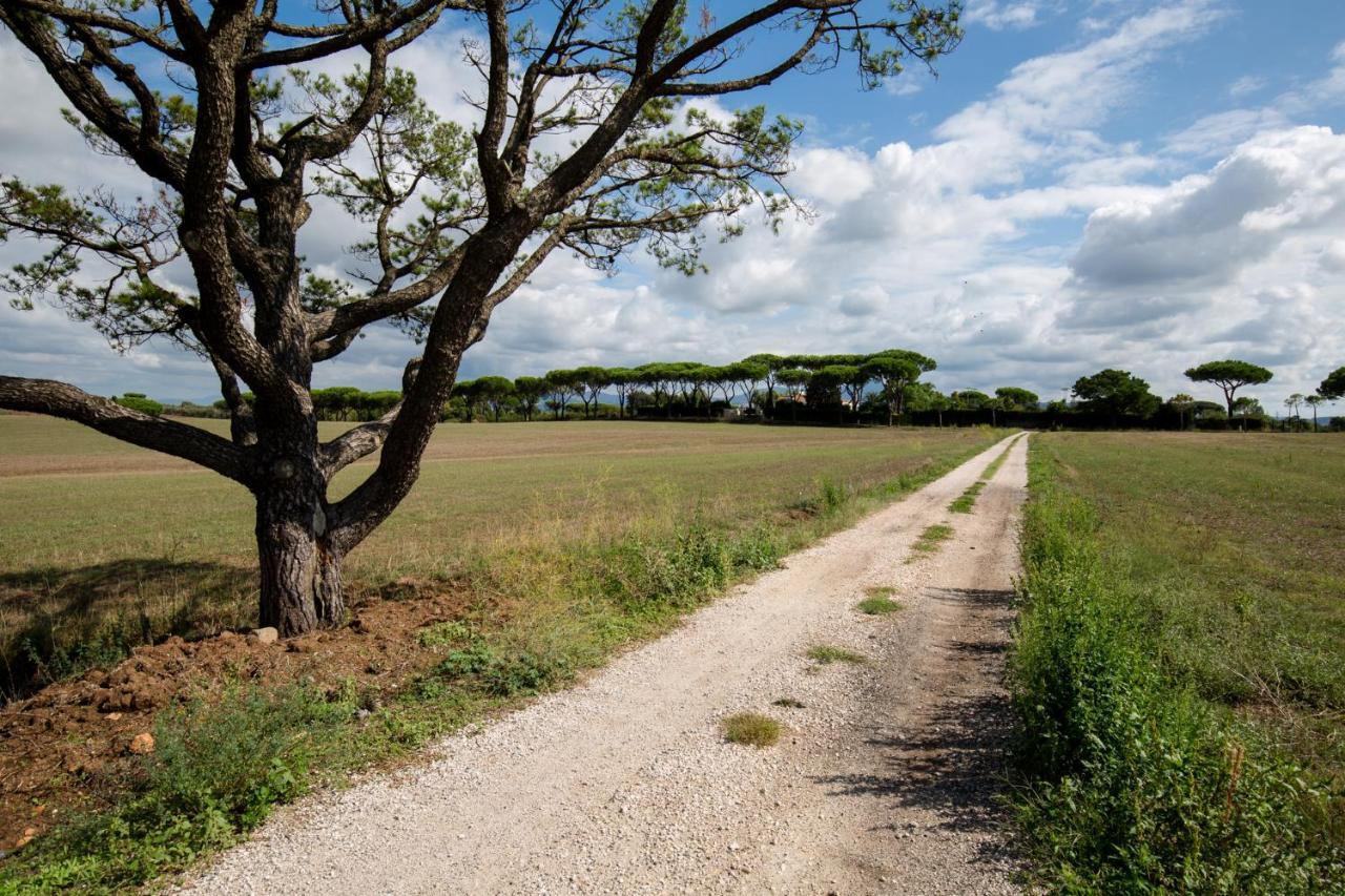Tenuta Capizucchi Roma Exterior foto
